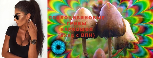 соль курить ск Дмитров