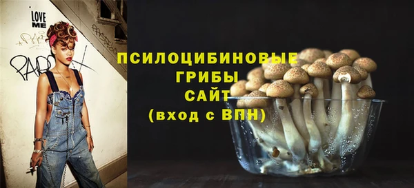 кокс Дмитровск