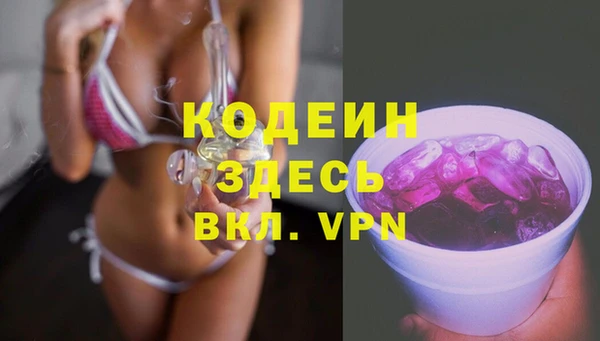 сатива Дмитриев