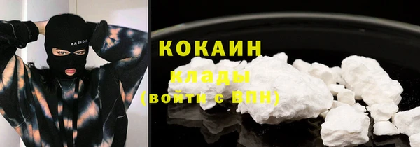 сатива Дмитриев