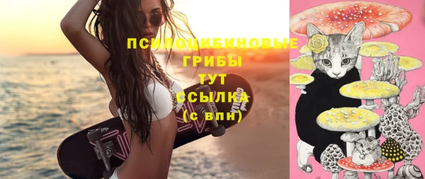 сатива Дмитриев