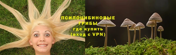 соль курить ск Дмитров