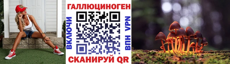 Купить закладки  Калининград  Галлюциногенные грибы Psilocybe 